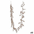 Branch champagne 160 x 2 x 8 cm (12 Units)